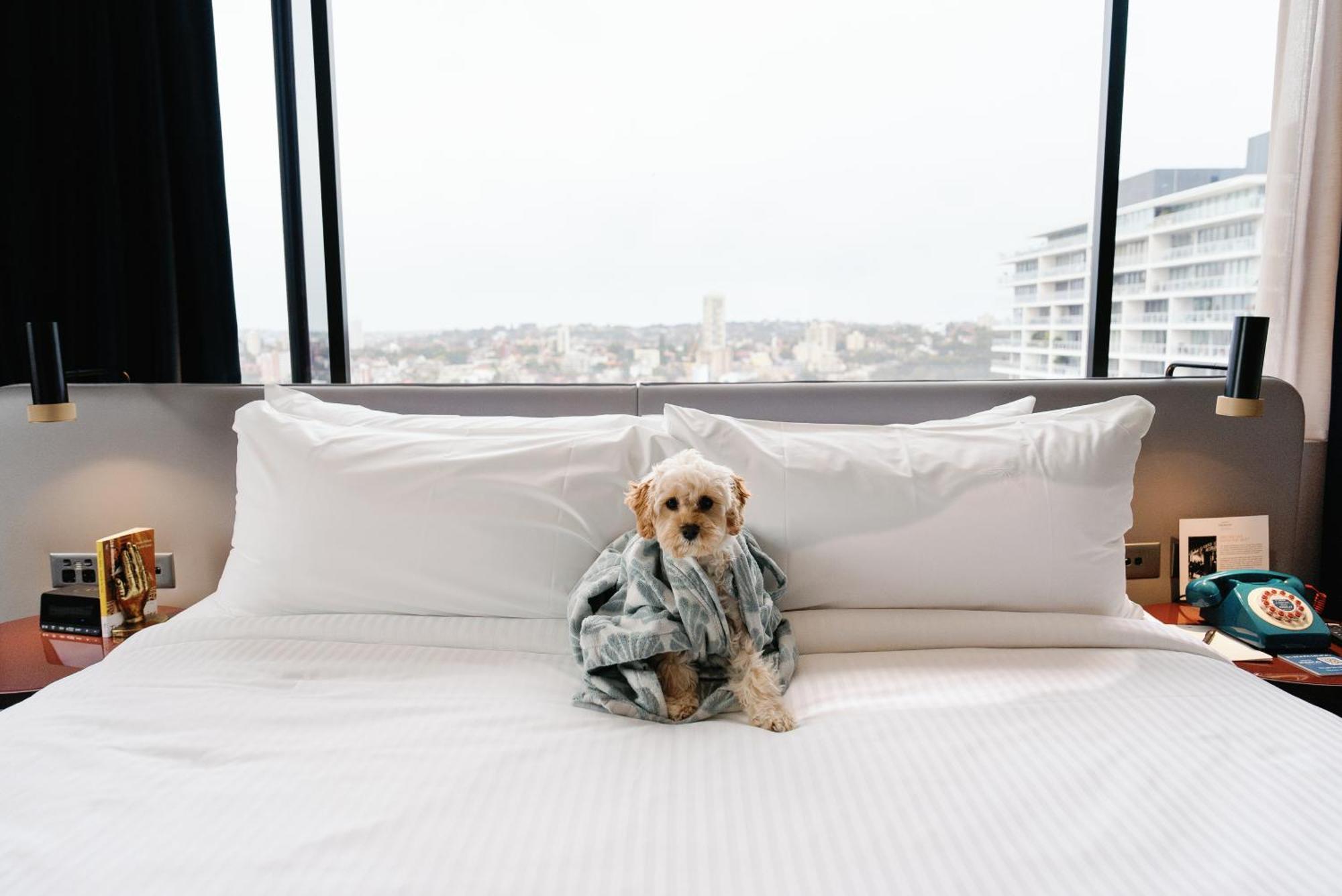 Indigo Potts Point By Ihg Sydney