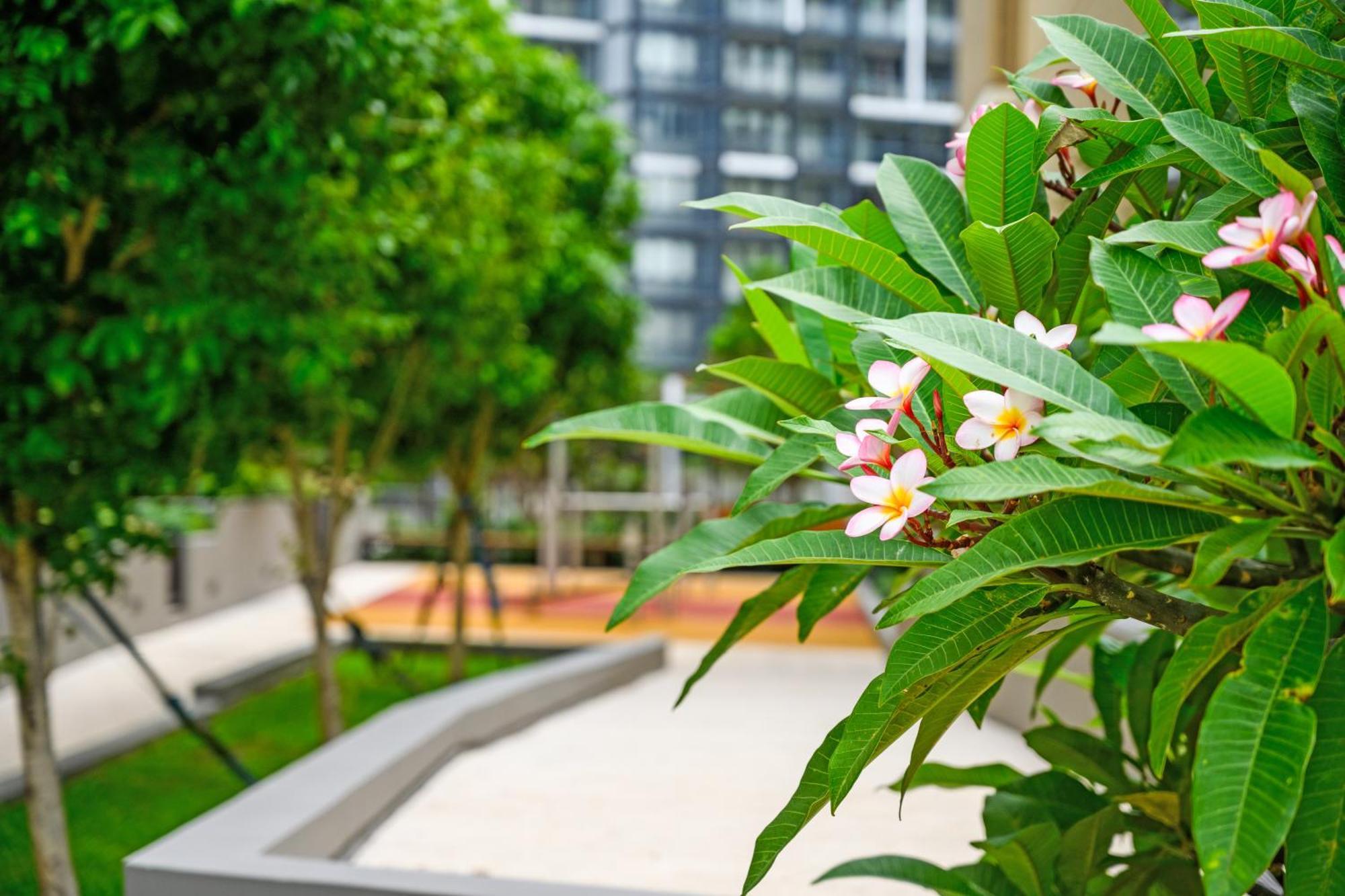 Sydneycbd 2br Chinatown/icc/haymarket With Parking Sidney