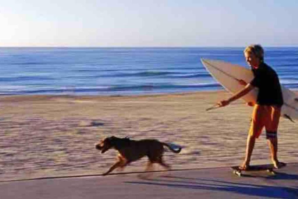 Perfect 2 Min Walk To The Wifi Aircon Netflix Apartment Sydney