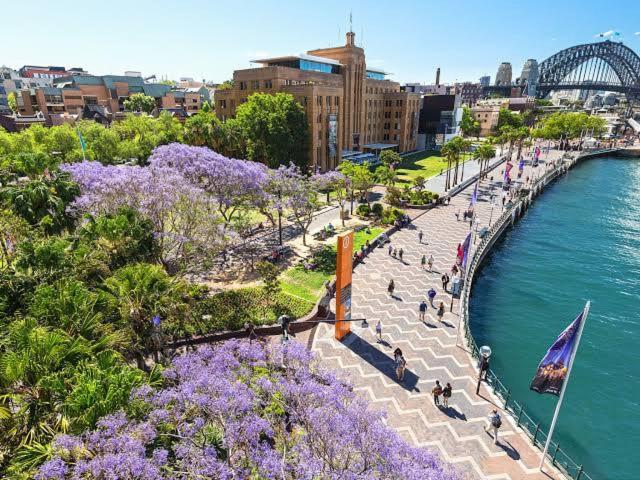 Embrace Conveniences Sydney