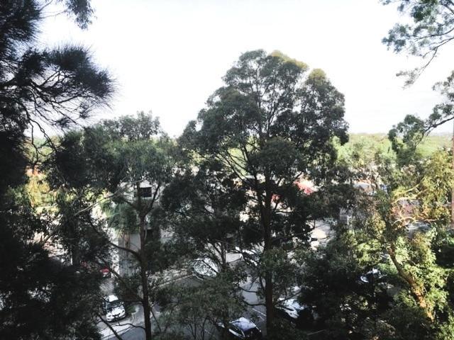 Oasis - Terrific Location & District Views! Apartment Sydney