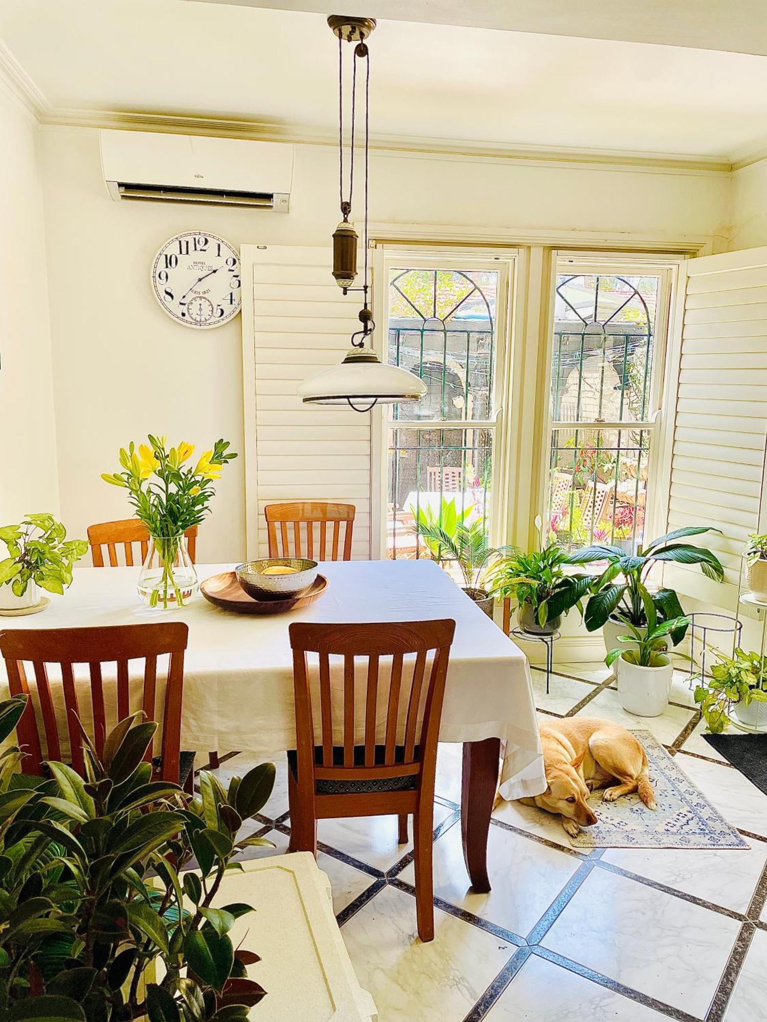 Updated Newtown Terrace * Sydney