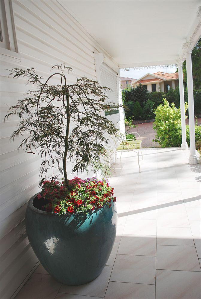 Guest house North Ryde 3*