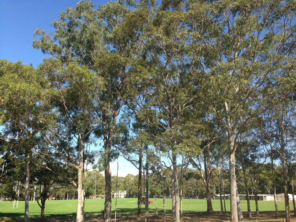 Bellevue Family Comforts, Amenities Sydney