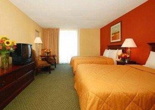 Comfort North Shore Hotel Sydney