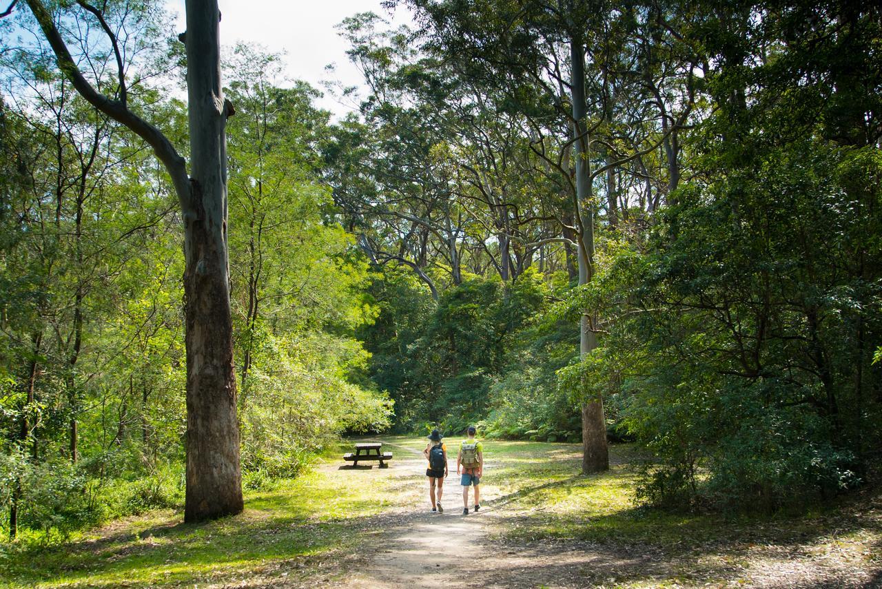 Holiday park Discovery Parks - Lane Cove 3*