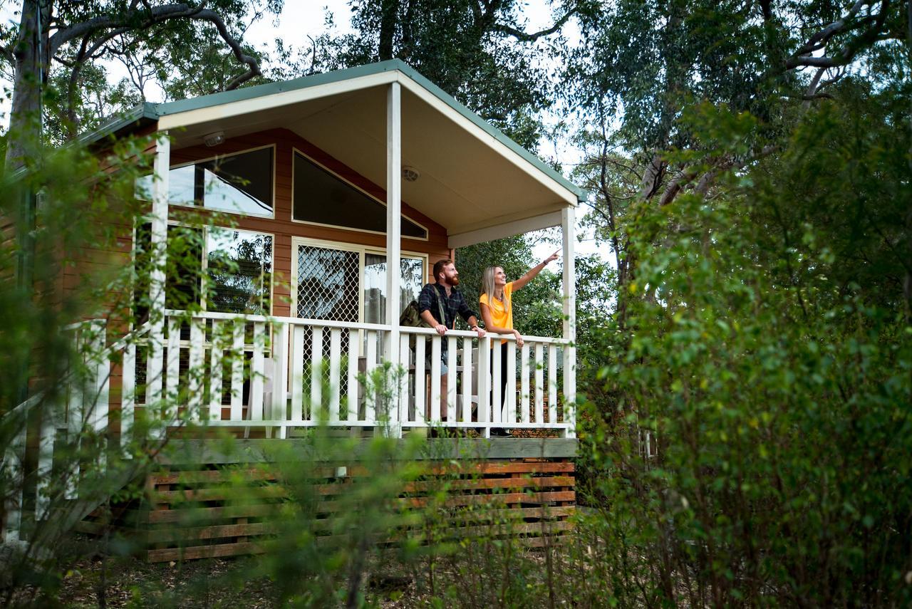 Holiday park Discovery Parks - Lane Cove 3*