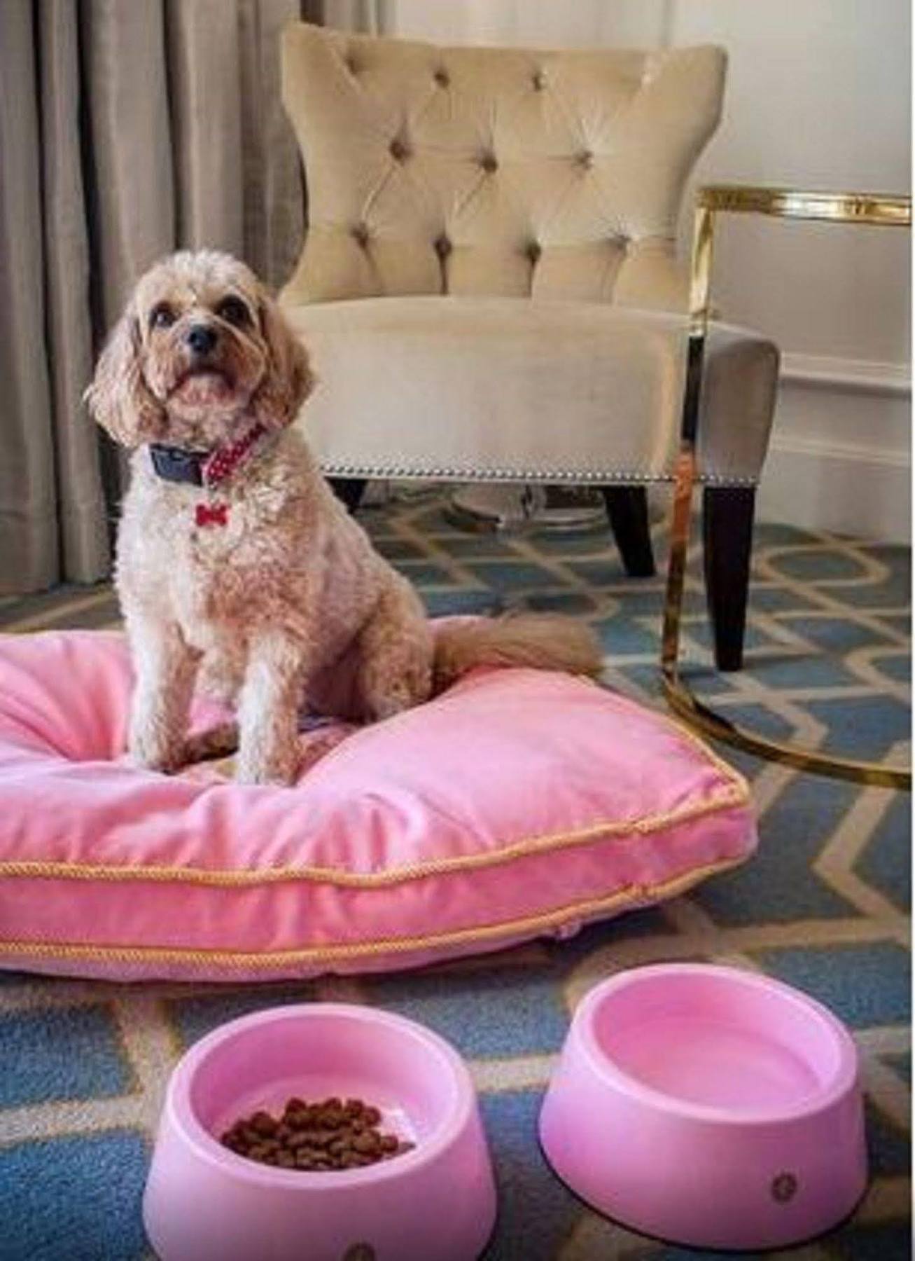 The Langham 5*