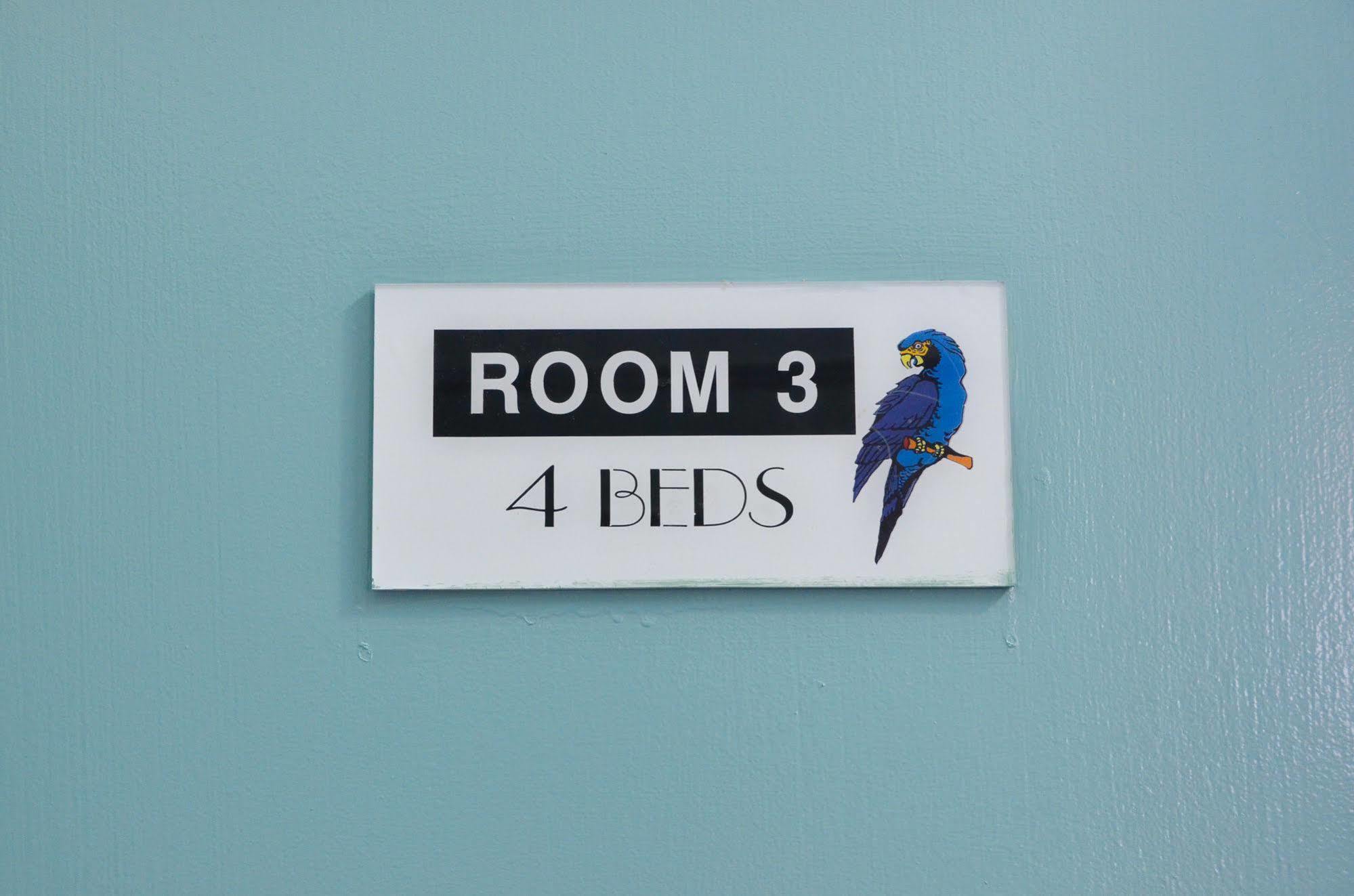 Blue Parrot Youth Hostel Sydney