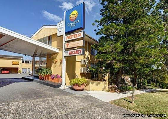 Hotel Comfort North Shore Sydney