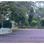 Balgowlah As Home