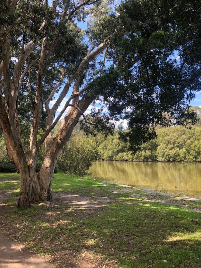 With Pool & Bbq - 10 Kms From Cbd Holiday home Sydney