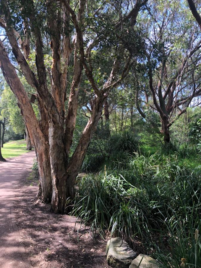 With Pool & Bbq - 10 Kms From Cbd Holiday home Sydney