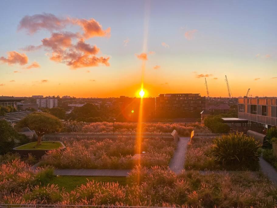 Apartment Darling Harbour Stunning Location With Pool, Gym, Wifi, Netflix *