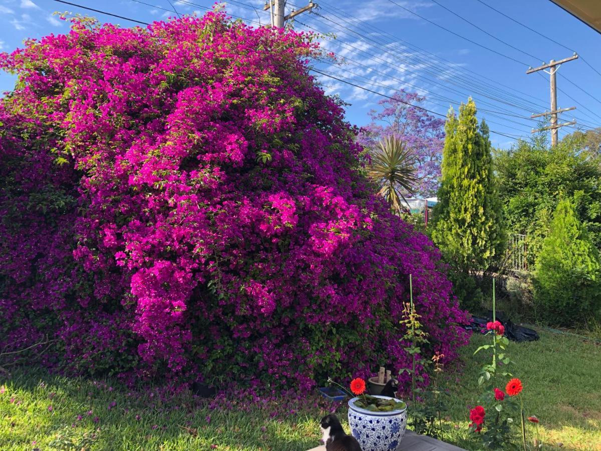 Homestay Private In Marsfield/macquarie Park/uni/eastwood *