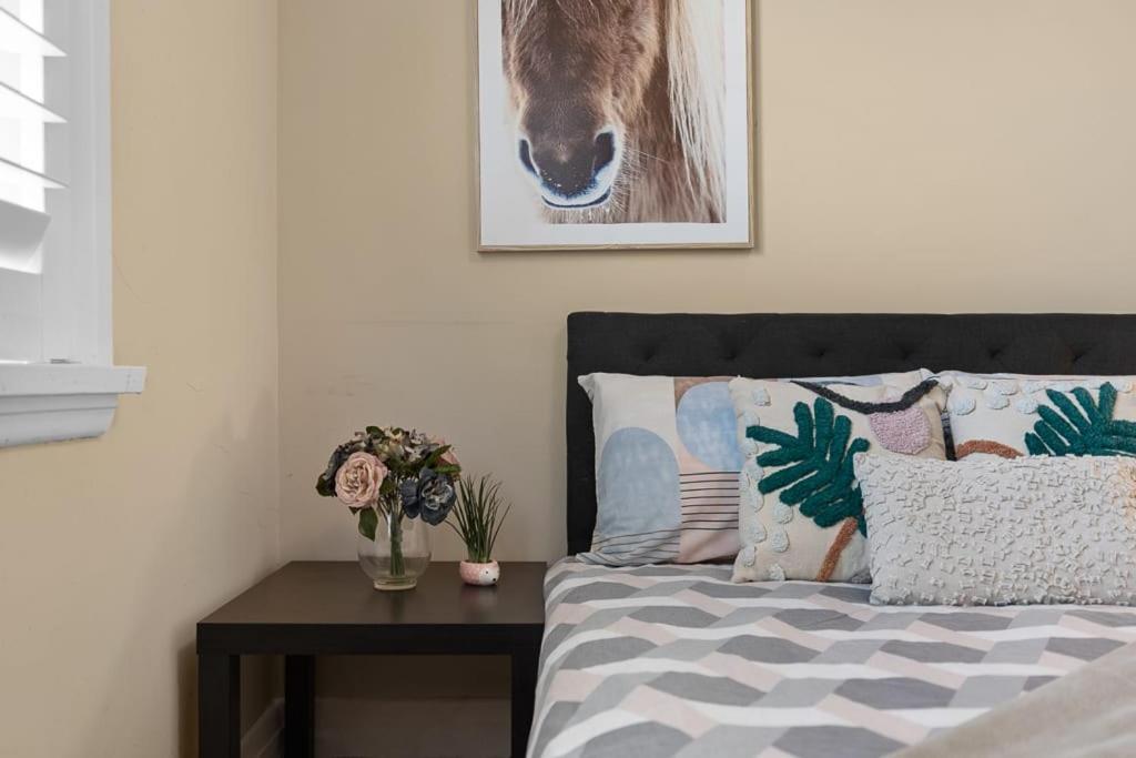 Cozy House In Kensington Near Unsw & Light Railway Holiday home Sydney