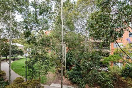 Apartment Treetops Erskineville W Parking & Aircon