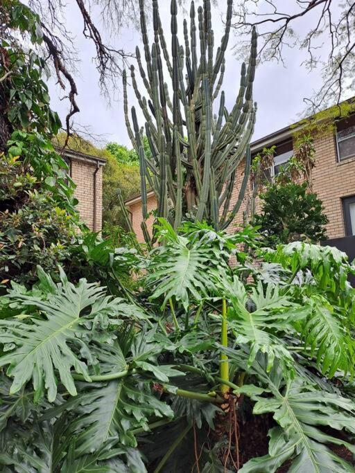 Apartamento Lovely 1bed Inner West W Parking *