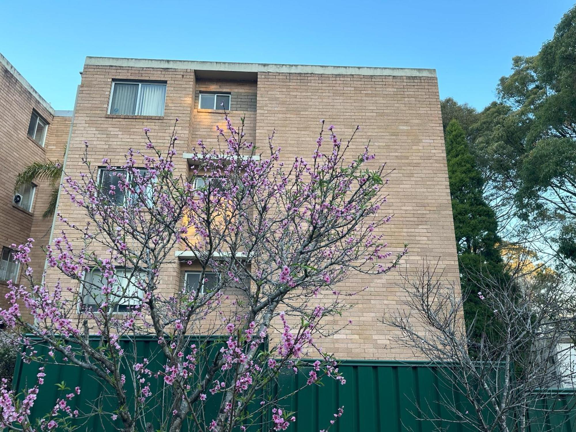 Macquarie Treetops - 2br In The Heart Of Macquarie Park * Sydney