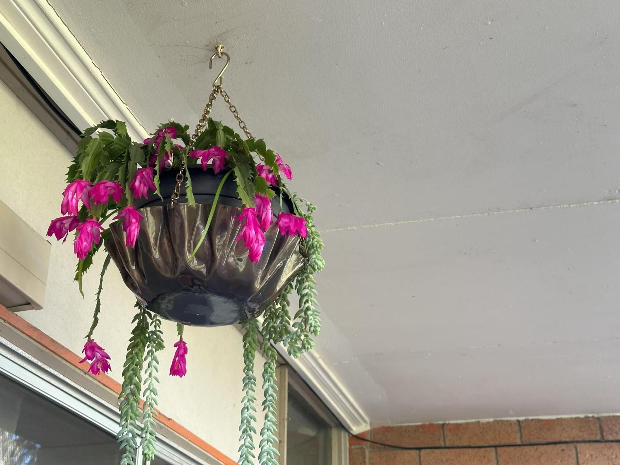 Macquarie Treetops - 2br In The Heart Of Macquarie Park Sydney