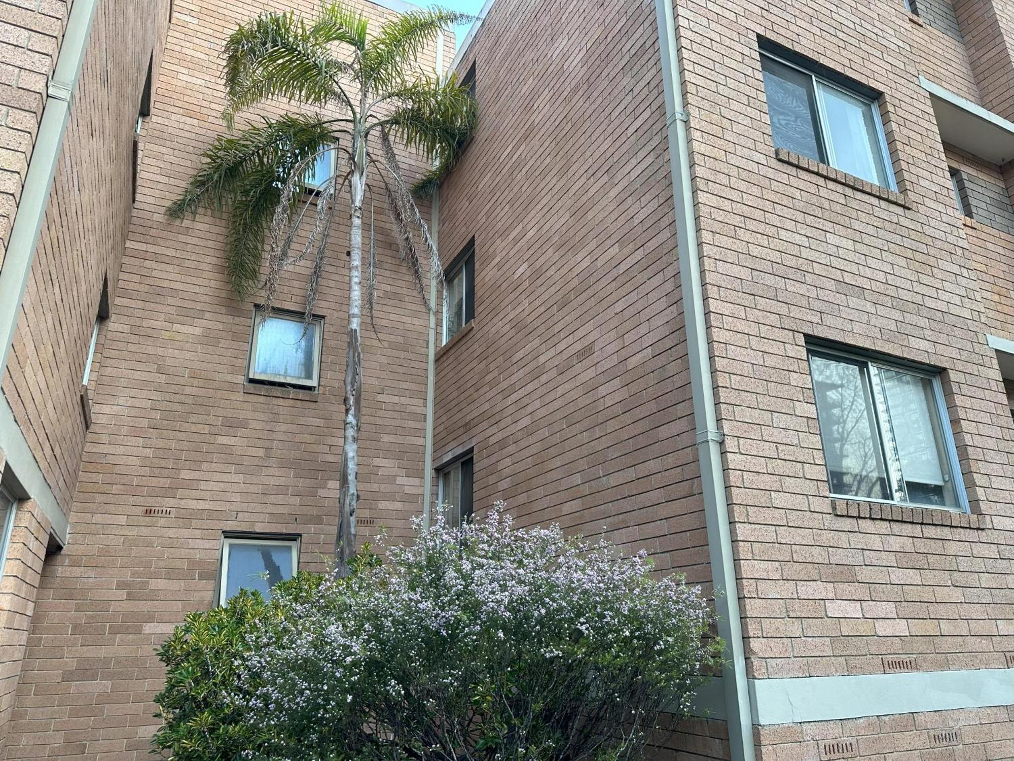 Macquarie Treetops - 2br In The Heart Of Macquarie Park Apartment *