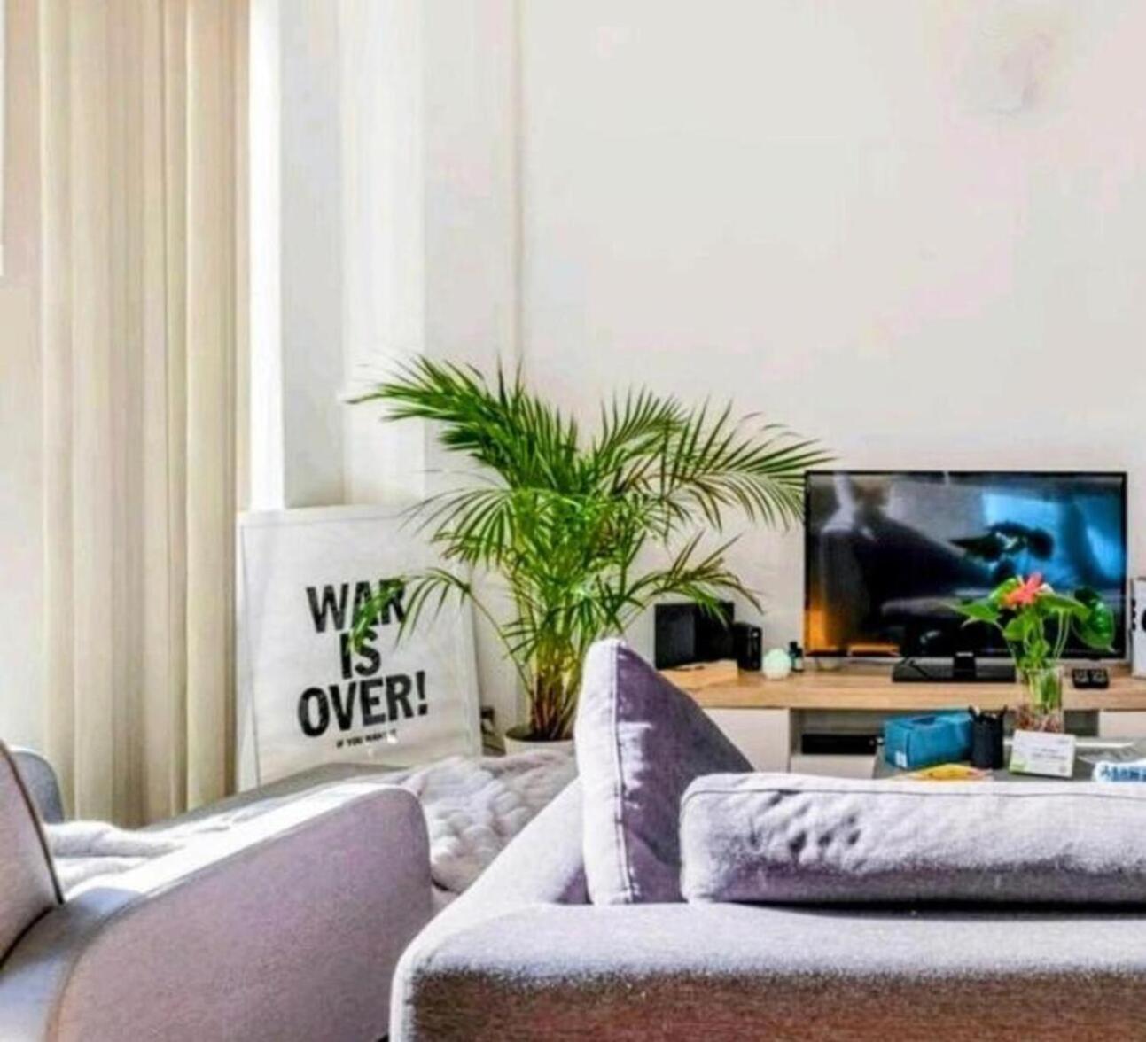 Apartment Entire One Bedroom With Rooftop Pool & Private Backyard *