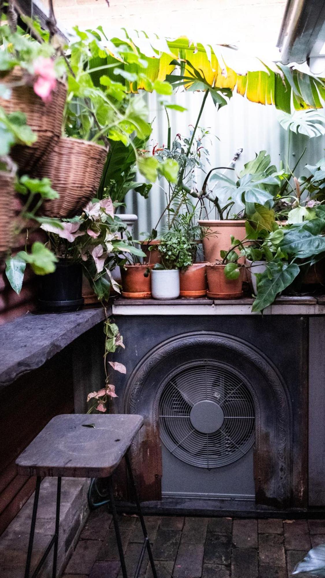 Charming Vintage Flat Near Newtown. 11am Checkout. Apartment Sydney