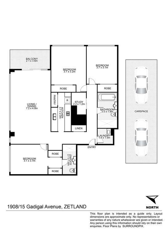 Moore To See - Modern And Spacious 3Br Zetland Apartment With Views Over Moore Park Apartment