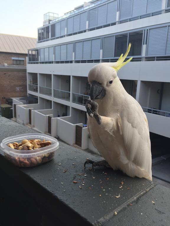 Mosman Location * Sydney